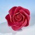 Open Rose Cerise Medium