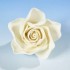 Open Rose Ivory Large