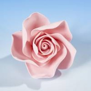 Open Rose Pink Large Open Rose Pink Large