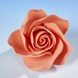 Open Rose Peach Large