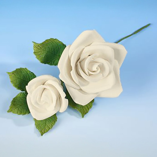 Hamilworth Rose Classic x2 Spray Medium Ivory Hamilworth Rose Classic x2 Spray Medium Ivory