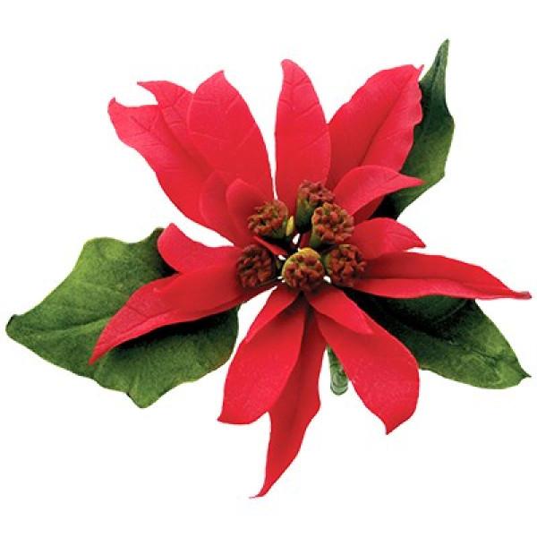 JEM Poinsettia Cutters Set of 10 JEM Poinsettia Cutters Set of 10