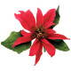 JEM Poinsettia Cutters Set of 10