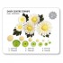 Daisy Centre Stamps Set