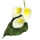 JEM Arum Lily & Leaf Cutter Set