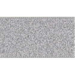 Ribbon 40mm Silver Double Lame