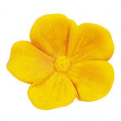 Flower Cutter & Mould Set