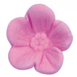 Cherry Blossom Cutter & Mould Set