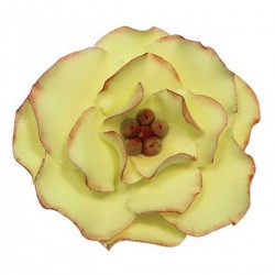 Briar Rose Cutter Set