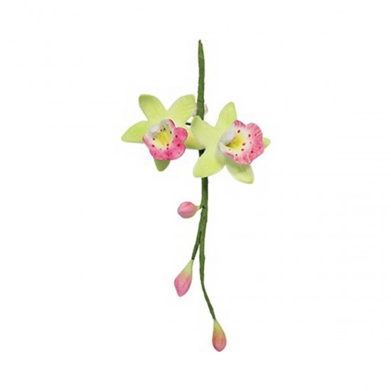 PME Cymbidium Orchid Cutter Set Small