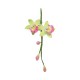 PME Cymbidium Orchid Cutter Set Small