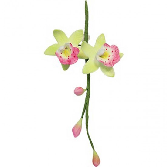 PME Cymbidium Orchid Cutter Set Medium