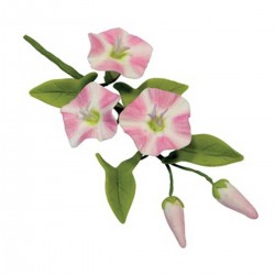 Field Bindweed Cutter Set