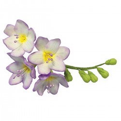 Freesia Cutter