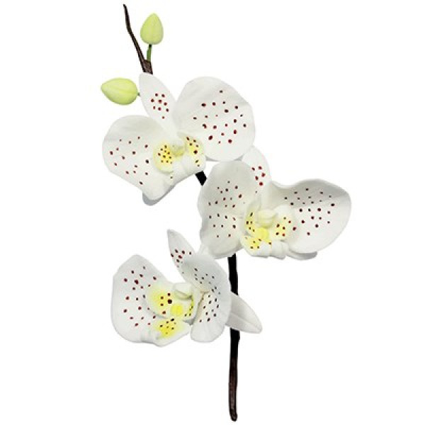 PME Moth Orchid Cutter Set PME Moth Orchid Cutter Set