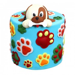 Paws Plunger Cutter Set