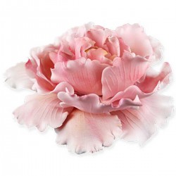 Peony Plunger Cutter Set