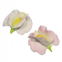 Sweet Pea Cutter Set Medium