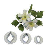Wood Anemone Cutter Set