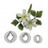 Wood Anemone Cutter Set