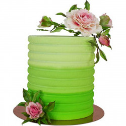 Side Scraper Scallop Tall