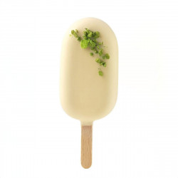 Mini Classic Ice Cream Cakesicle Mould