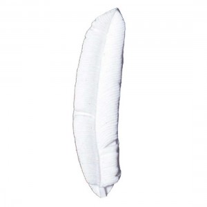 Feather Mould Large Feather Mould Large