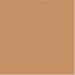 Blossom Tint Cream 7ml