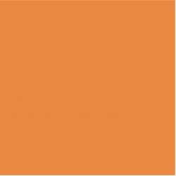 Blossom Tint Tangerine 7ml