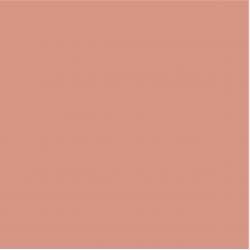 Blossom Tint Dusky Pink 7ml