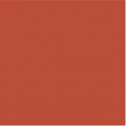 Blossom Tint Red 7ml