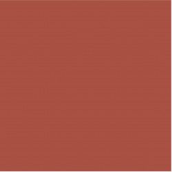 Blossom Tint Ruby 7ml