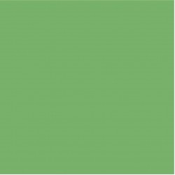 Blossom Tint Spring Green 7ml