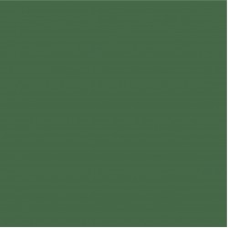 Blossom Tint Moss Green 7ml