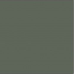 Blossom Tint Woodland Green 7ml