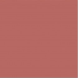 Blossom Tint Blush Pink 7ml