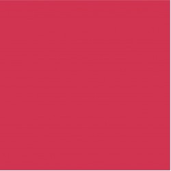 Craft Dusting Colour Fuchsia 7ml