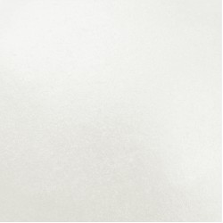 Edible Lustre Pearl White 2g