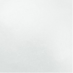 Edible Lustre Ice White 2g