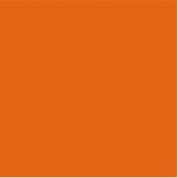 Craft Dusting Colour Orange 2g