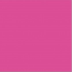 Craft Dusting Colour Permanent Rose 2g