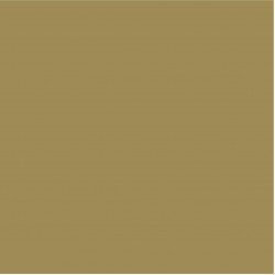 Craft Dusting Colour Burnt Umber 2g