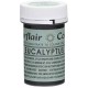 Sugarflair Colours Spectral Paste Eucalyptus 25g