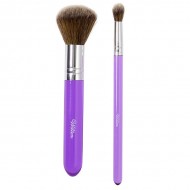 Brush Dusting Set 2 Piece